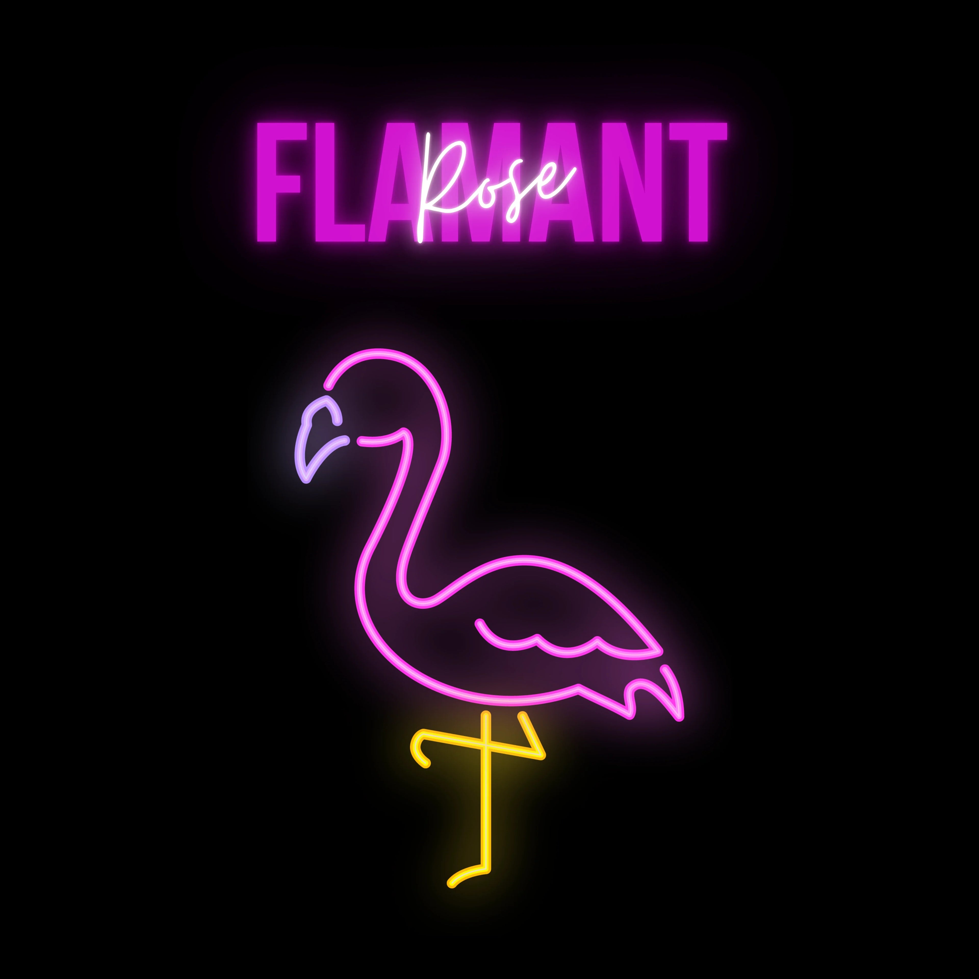 tsgabrielle® • Flamant Rose • Conjunto de raquetes de pickleball