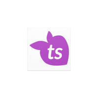 tsgabrielle® • Ímãs para carro • Branco • Tamanho único