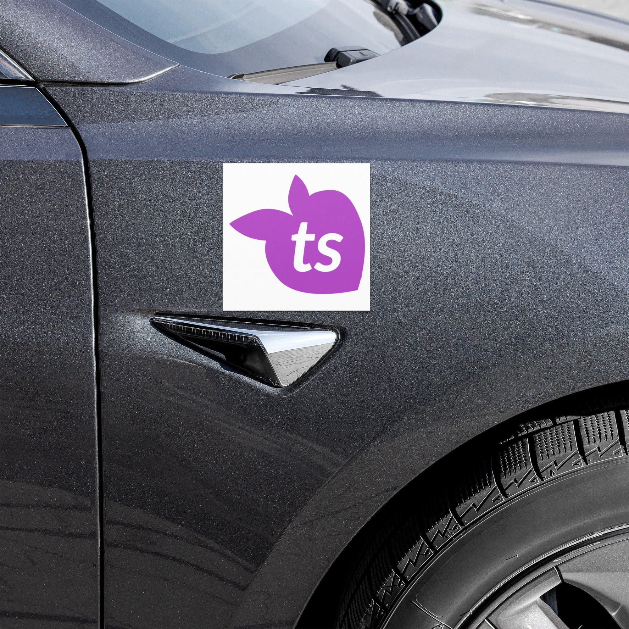 tsgabrielle® • Ímãs para carros • Ícone ts • 5" x 5"
