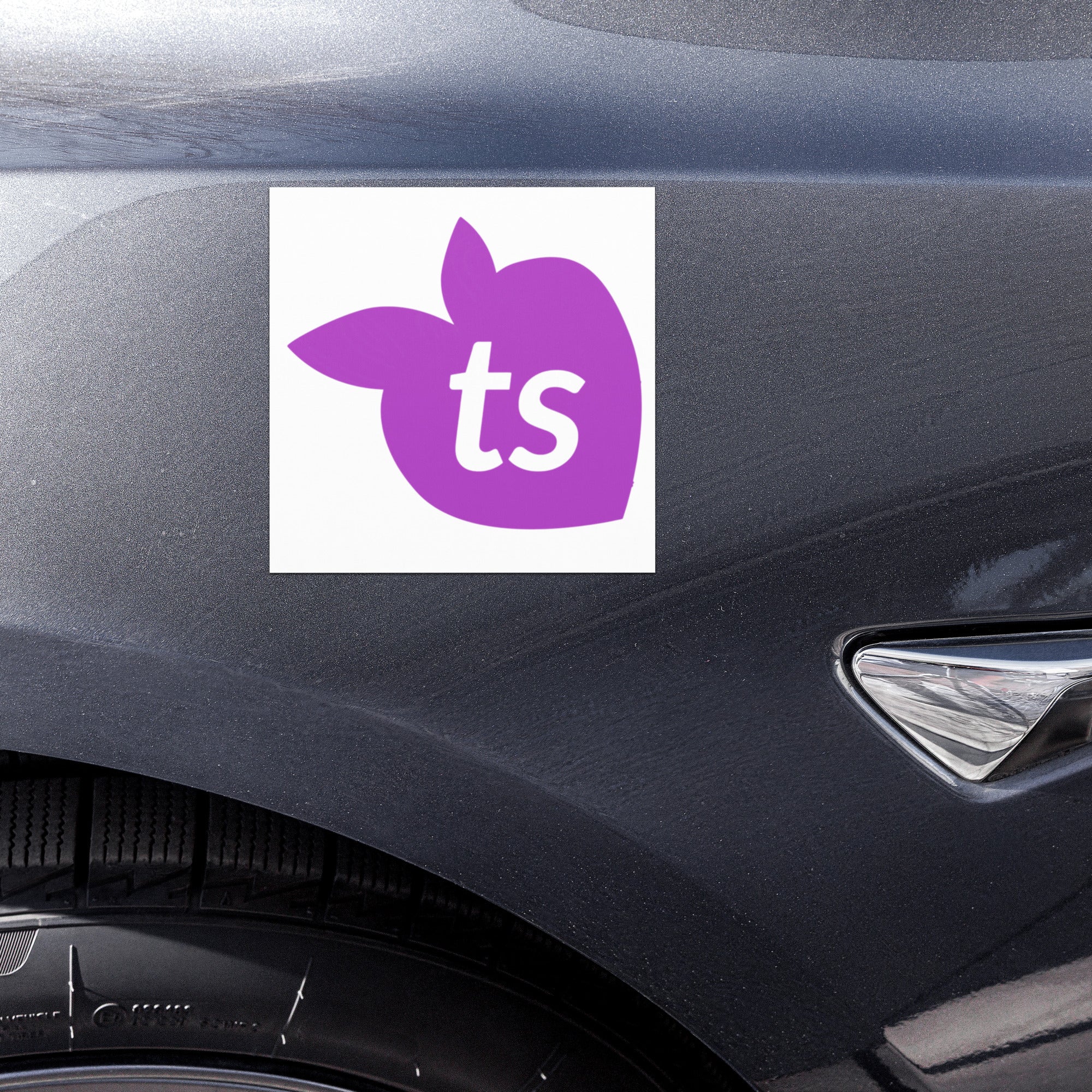 tsgabrielle® • Ímãs para carros • Ícone ts • 5" x 5"