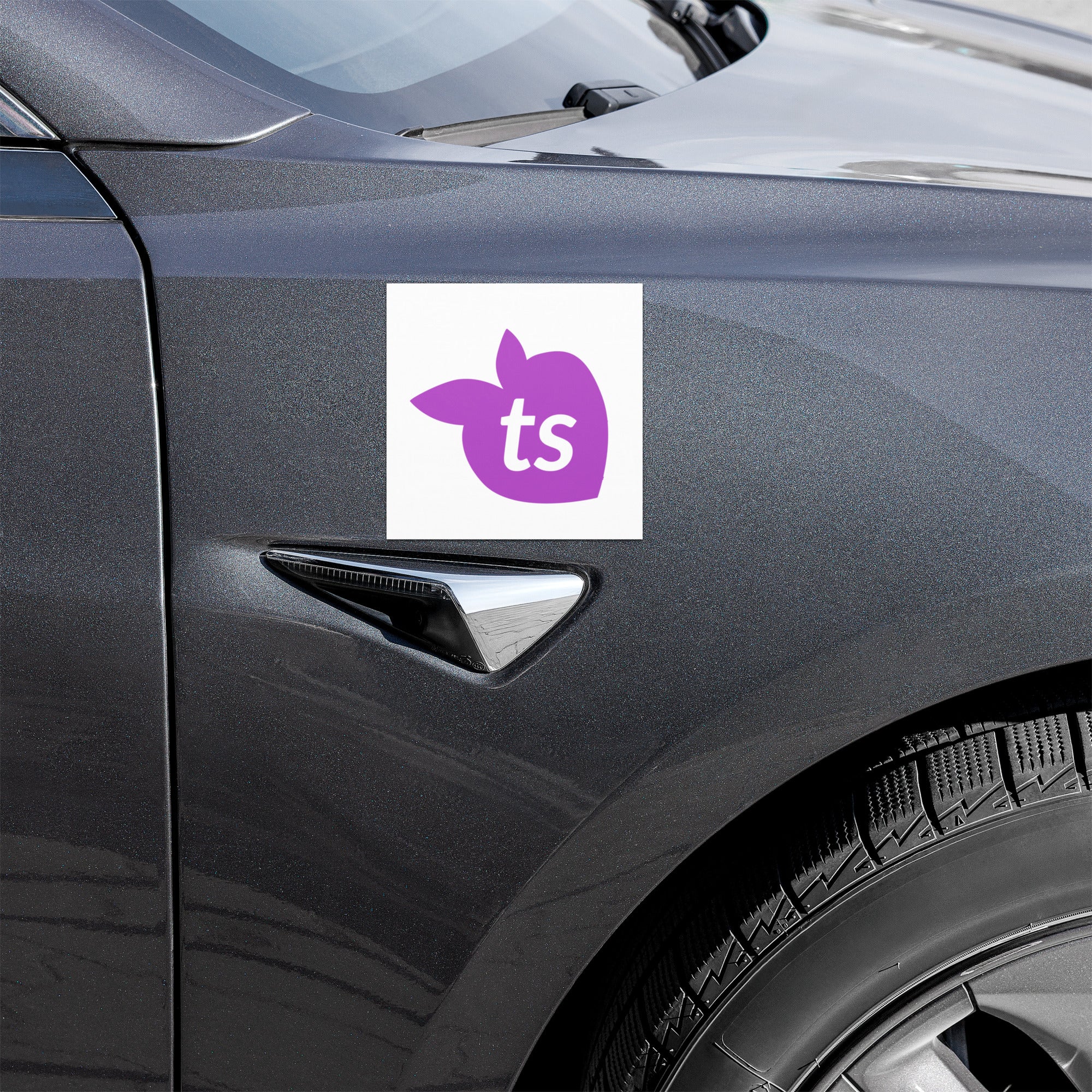 tsgabrielle® • Ímãs para carros • Ícone ts • 5" x 5"