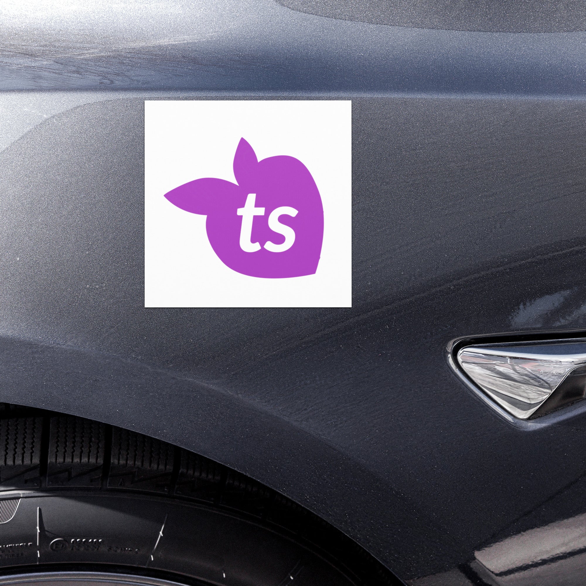 tsgabrielle® • Ímãs para carros • Ícone ts • 5" x 5"