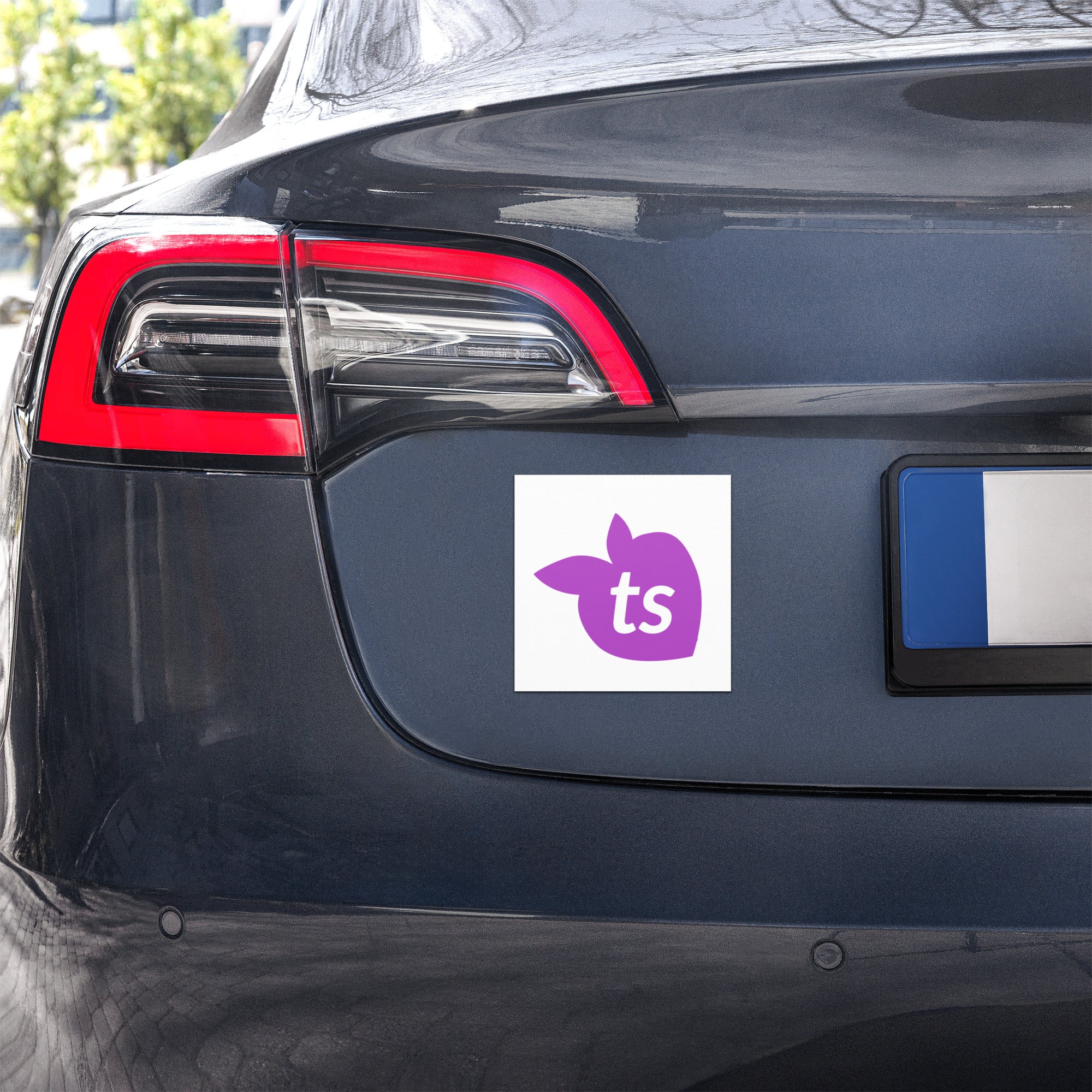 tsgabrielle® • Ímãs para carros • Ícone ts • 5" x 5"