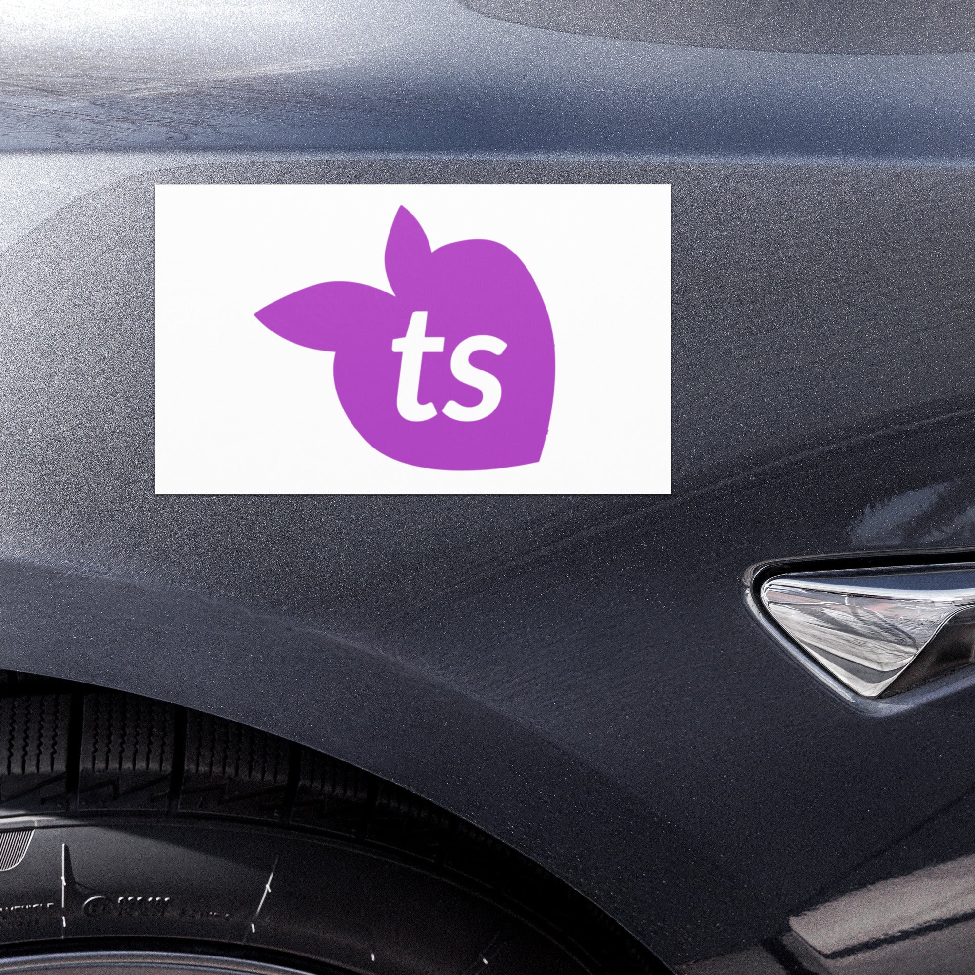 tsgabrielle® • Ímãs para carro • Branco • Tamanho único