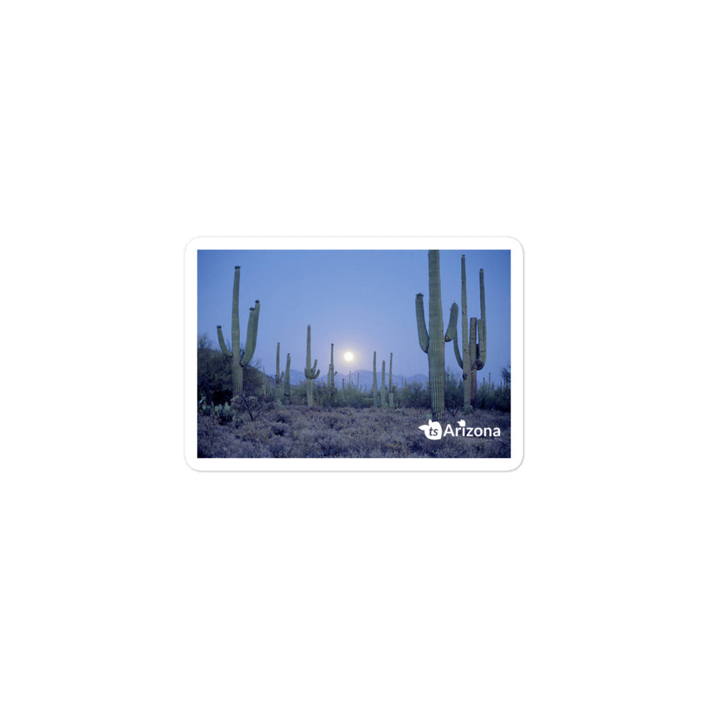 tsgabrielle® • Arizona - Parque Nacional Saguaro • Adesivo sem bolhas • 3 tamanhos