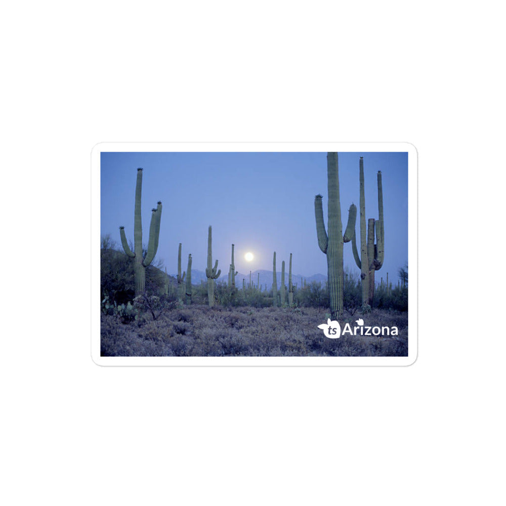 tsgabrielle® • Arizona - Parque Nacional Saguaro • Adesivo sem bolhas • 3 tamanhos