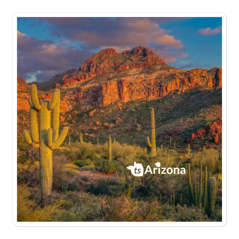 250 - tsgabrielle® • Arizona - Cordilheira de Tucson • Adesivos sem bolhas • 3 tamanhos
