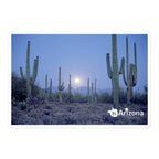 tsgabrielle® • Arizona - Parque Nacional Saguaro • Adesivo sem bolhas • 3 tamanhos