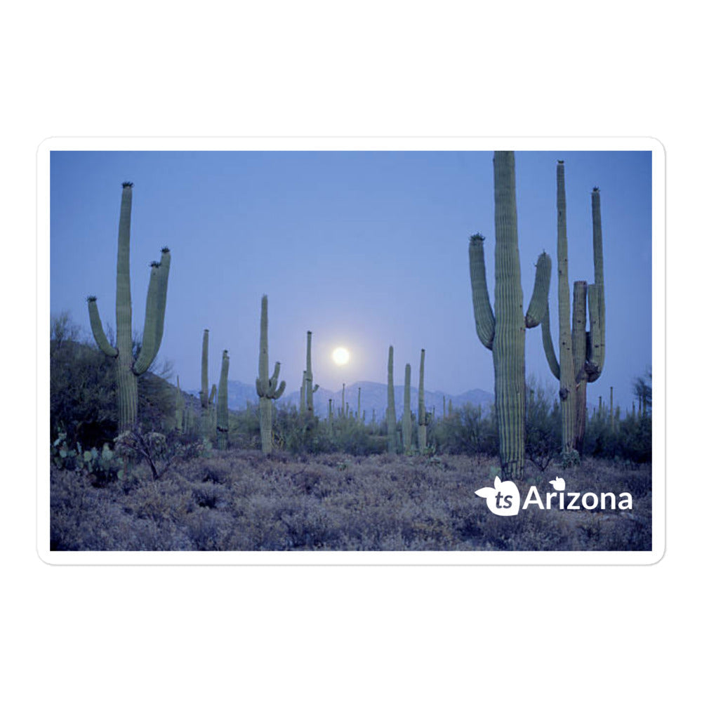 tsgabrielle® • Arizona - Parque Nacional Saguaro • Adesivo sem bolhas • 3 tamanhos