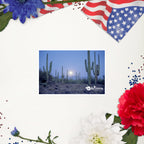 tsgabrielle® • Arizona - Parque Nacional Saguaro • Adesivo sem bolhas • 3 tamanhos