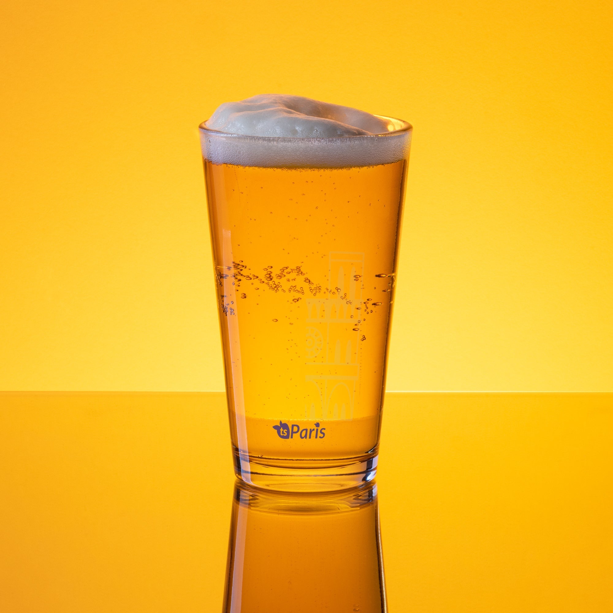tsgabrielle® • Paris - Catedral de Notre-Dame • Copo Shaker Pint • 473 ml