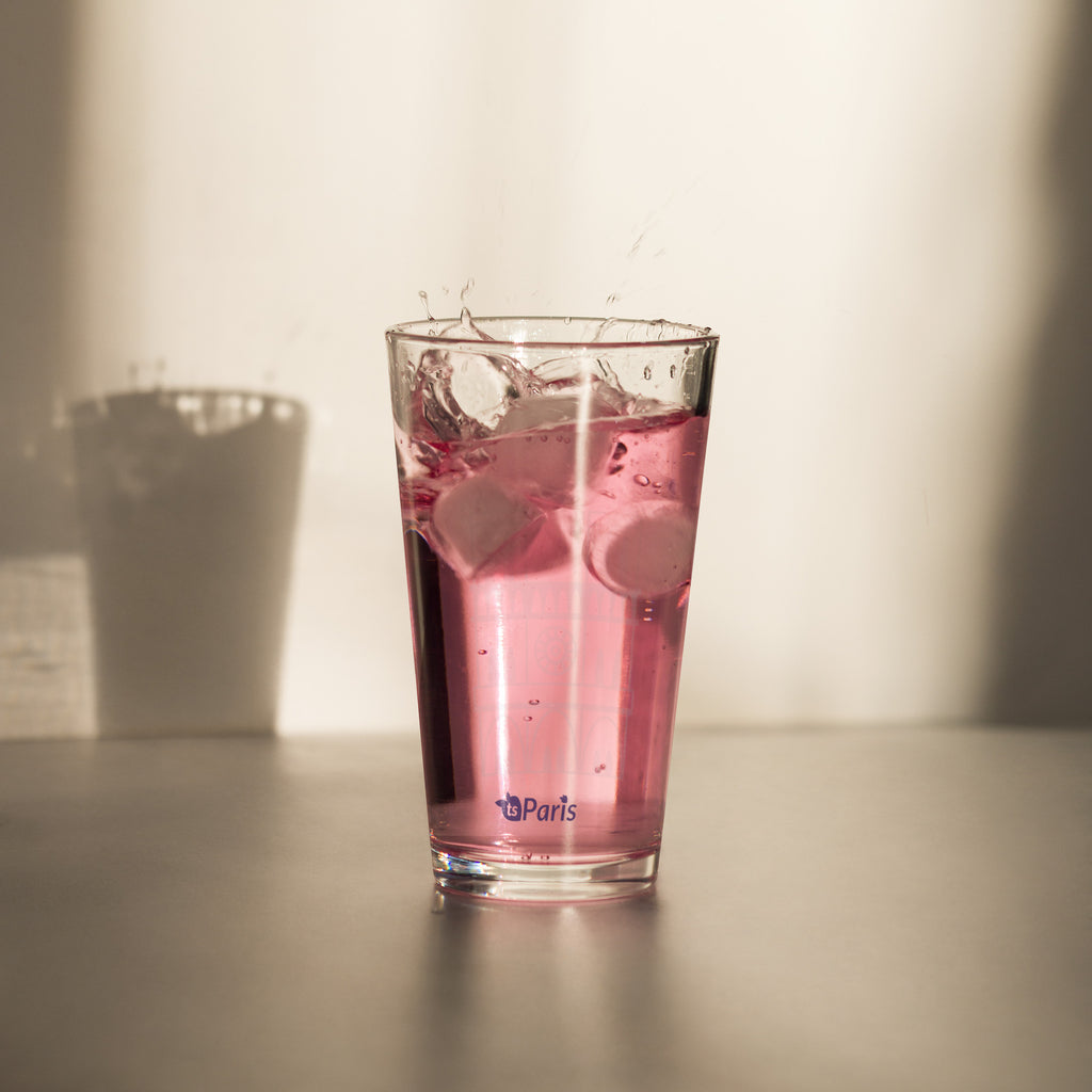 tsgabrielle® • Paris - Catedral de Notre-Dame • Copo Shaker Pint • 16 oz